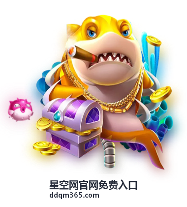 星空网官网免费入口使用技巧说明